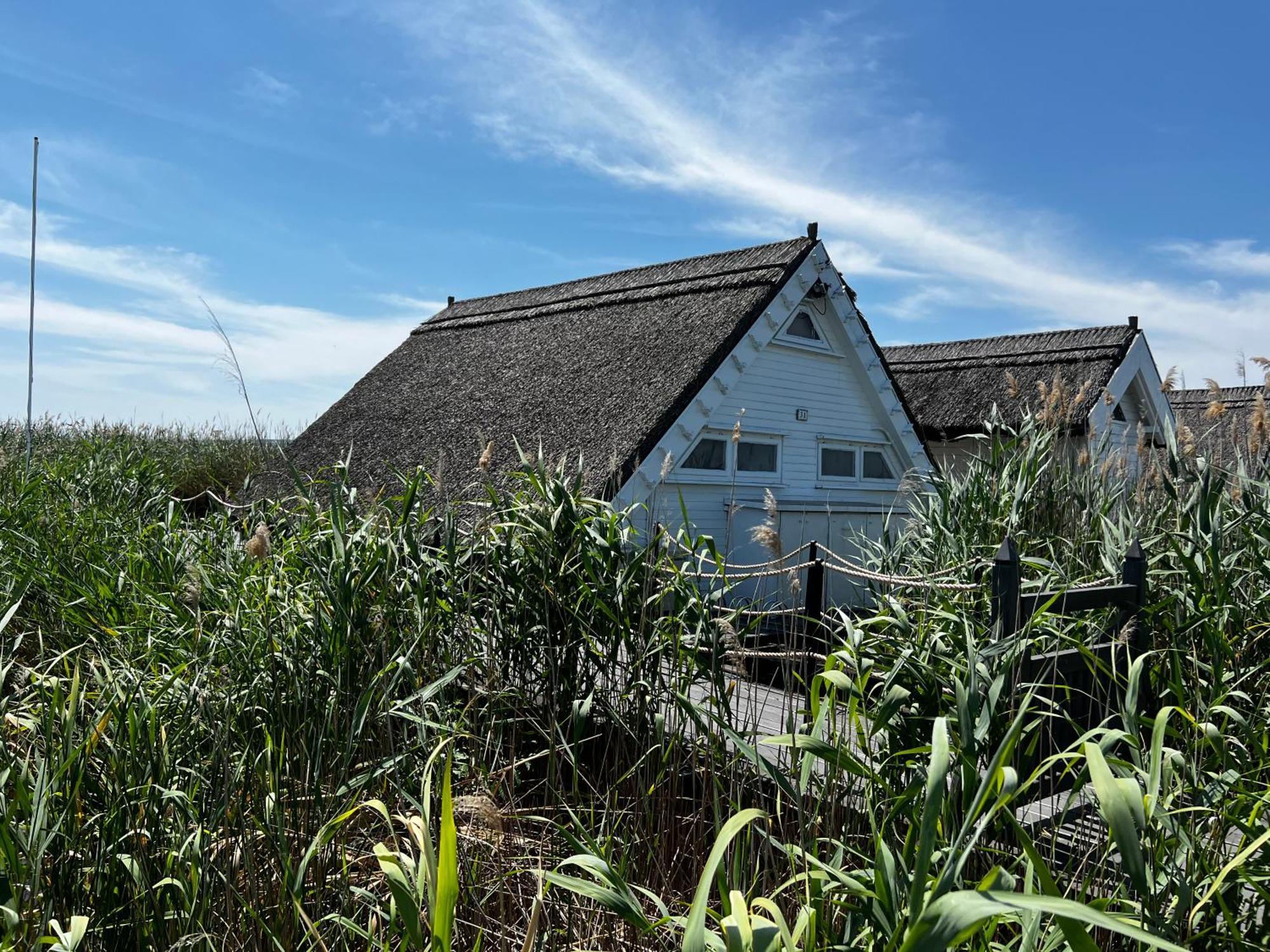 Seehuette Neusiedlersee - Seehaus Inklusive Elektroboot Ruszt Kültér fotó